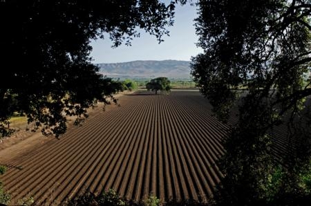 Ventura County has approximately 2,500 of the 81,000 farms in California.