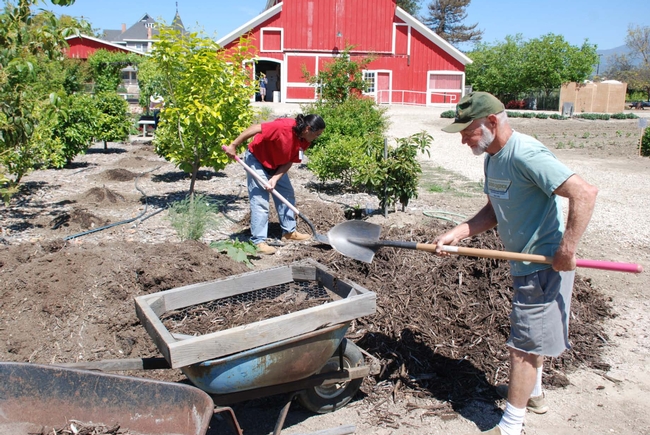 Time spent preparing soil in the garden is well spent. Healthy soil provides nutrients and promotes healthy root growth.
